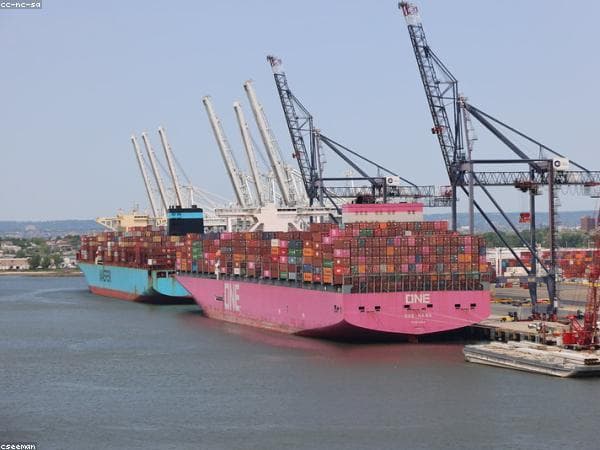 Global Shipping Lines