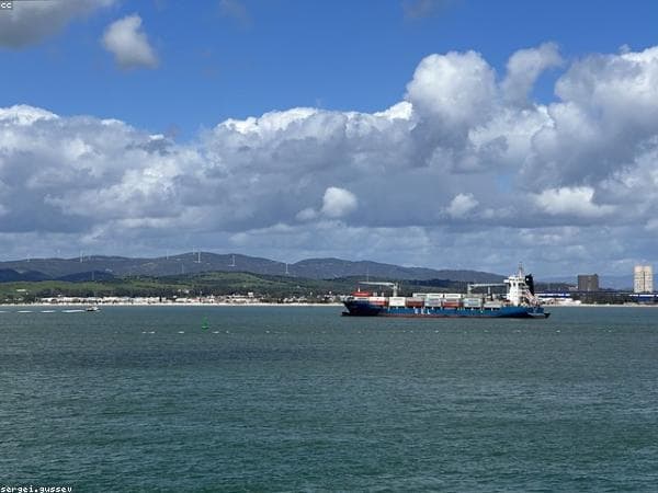 Maritime Transport Companies